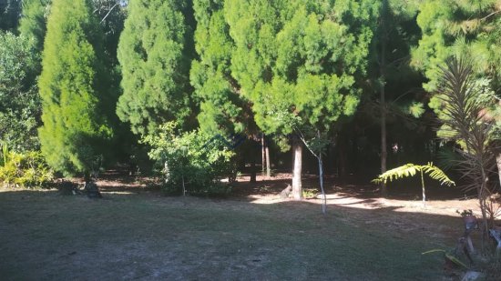 casa-geminada-venda-campeche-1014348