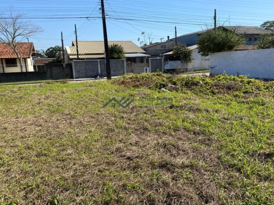 terreno-venda-morro-das-pedras-florianopolis-1036058