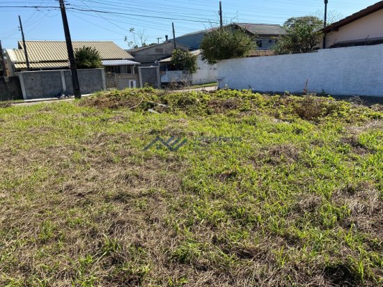 terreno-venda-morro-das-pedras-florianopolis-1036060