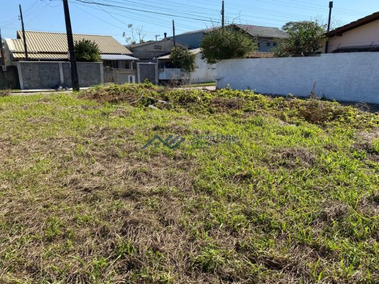 terreno-venda-morro-das-pedras-florianopolis-1036062