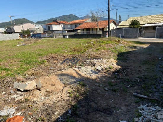 terreno-venda-morro-das-pedras-florianopolis-1036063
