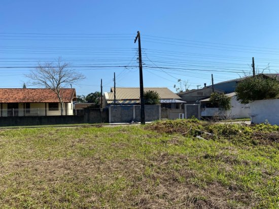 terreno-venda-morro-das-pedras-florianopolis-1036064